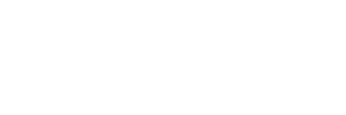 The Japan Odyssey